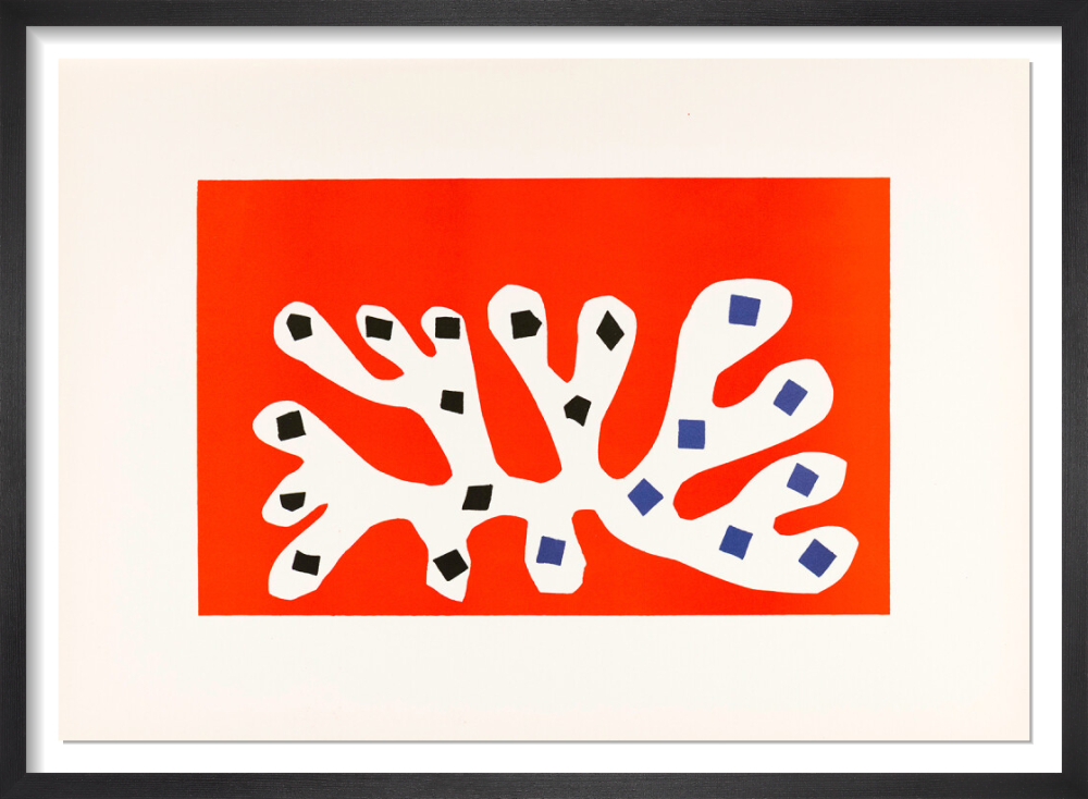 Algue blanche sur fond rouge, 1952