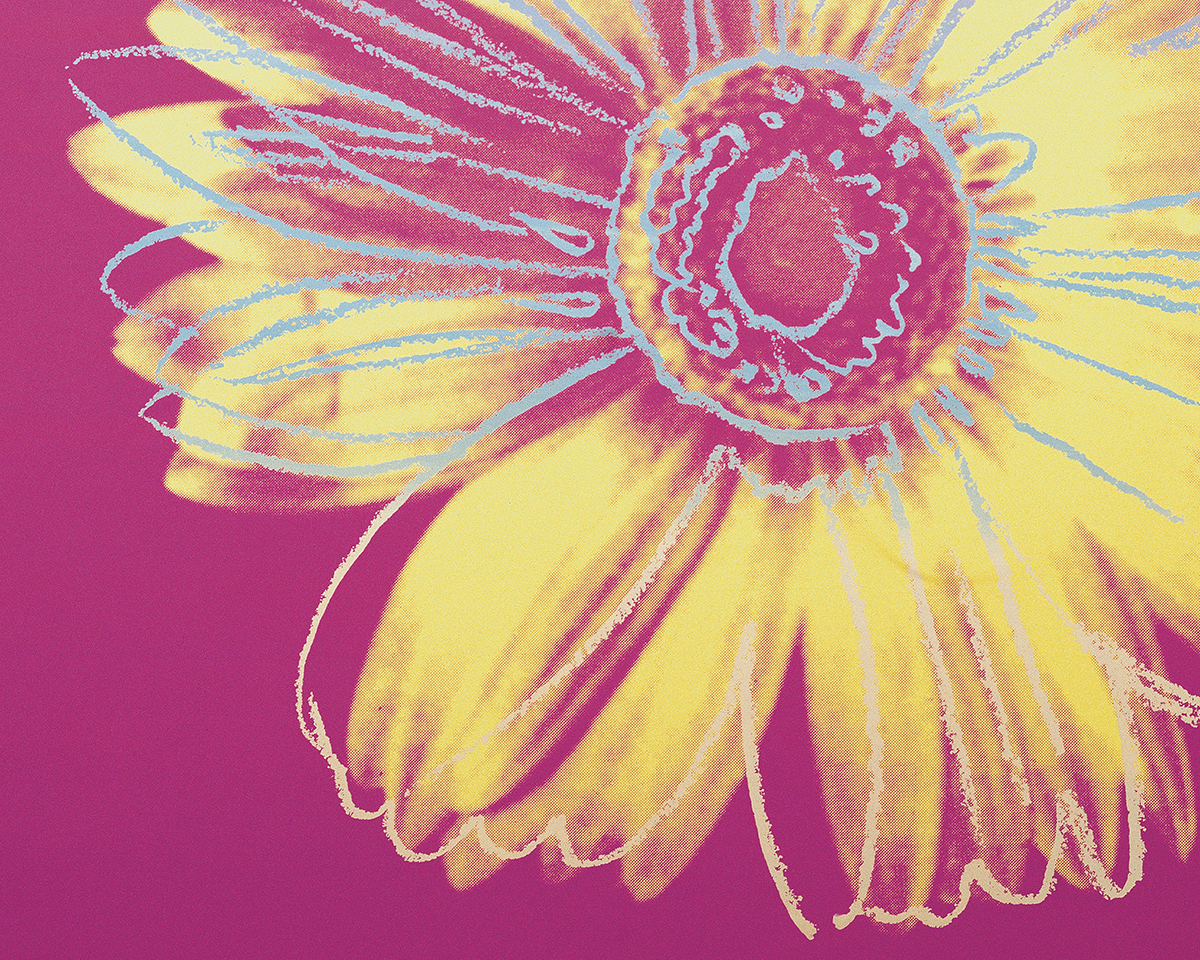Daisy, c. 1982 (fuchsia & yellow) Poster by Andy Warhol | King & McGaw