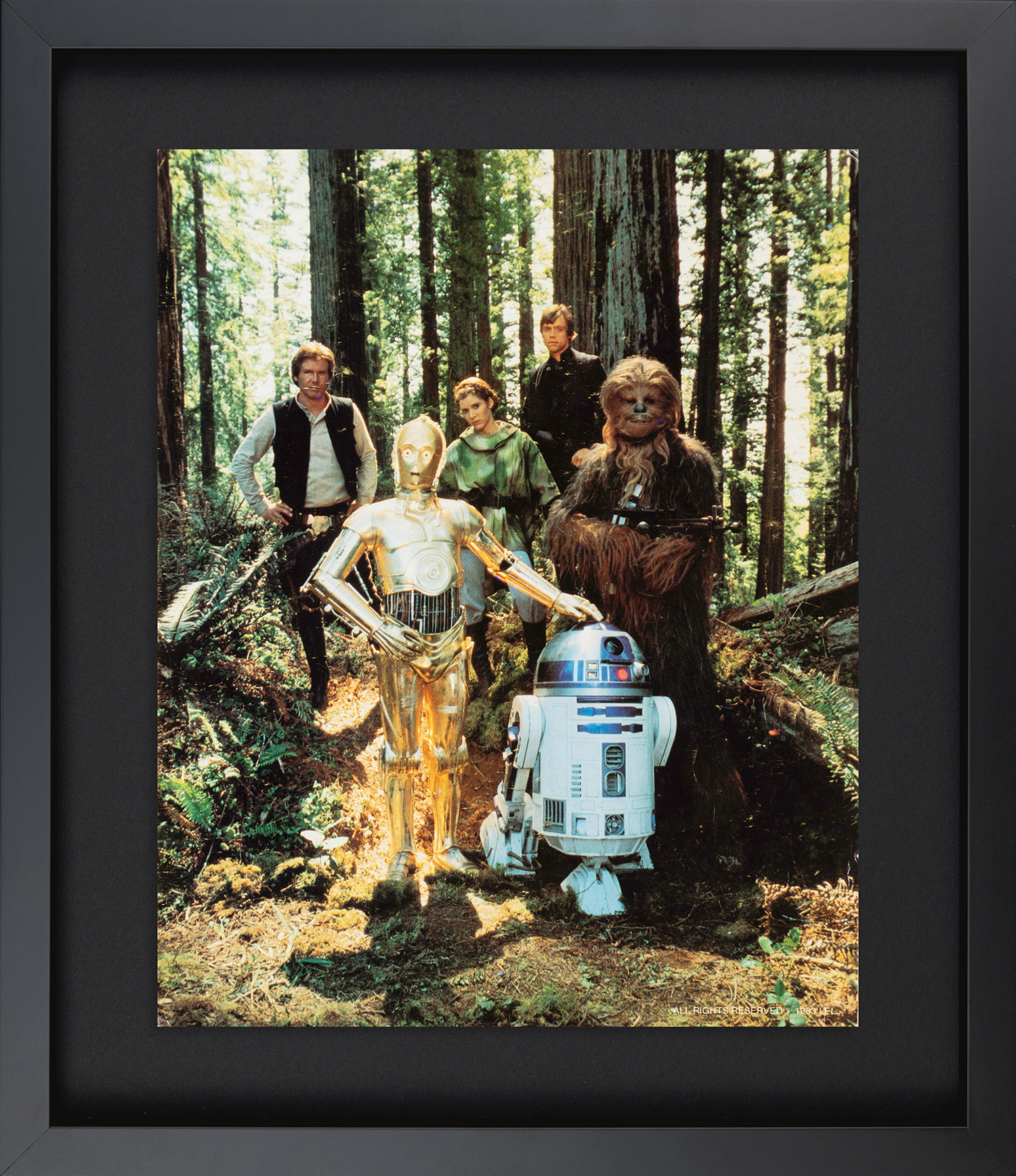 The Empire Strikes Back, 1980