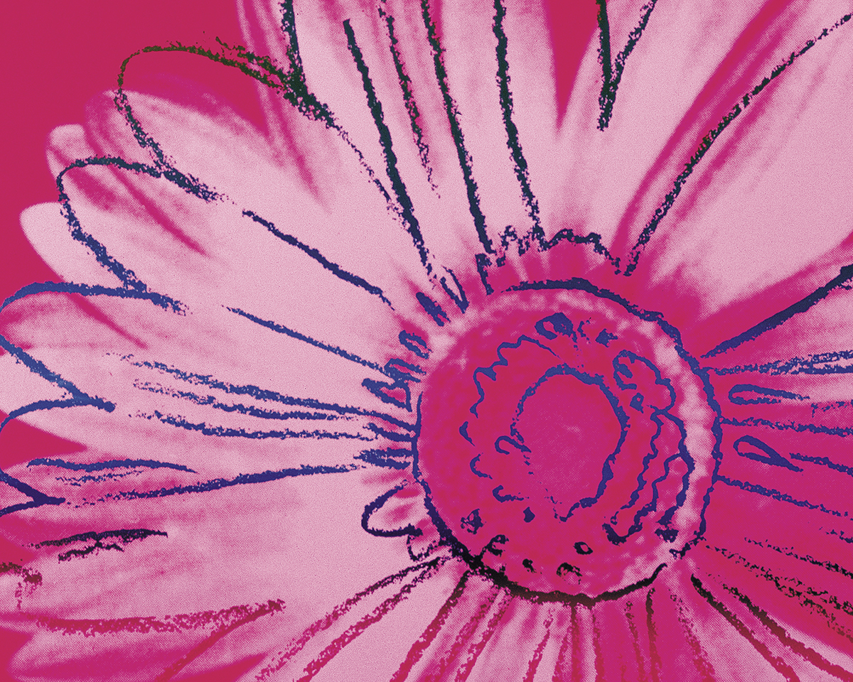 Daisy, c. 1982 (crimson & pink) Poster by Andy Warhol | King & McGaw